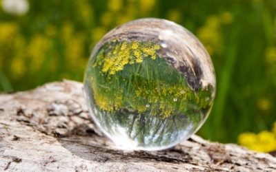 Foto Wochenende 1 – Von der Kunst des Fotografierens: Der Natur auf der Spur