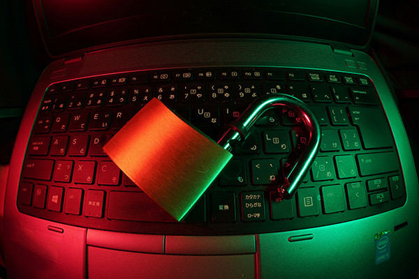 Online-Vorstandsseminar: Digital vereint – Mitgliederdaten schützen, verwalten, verwenden